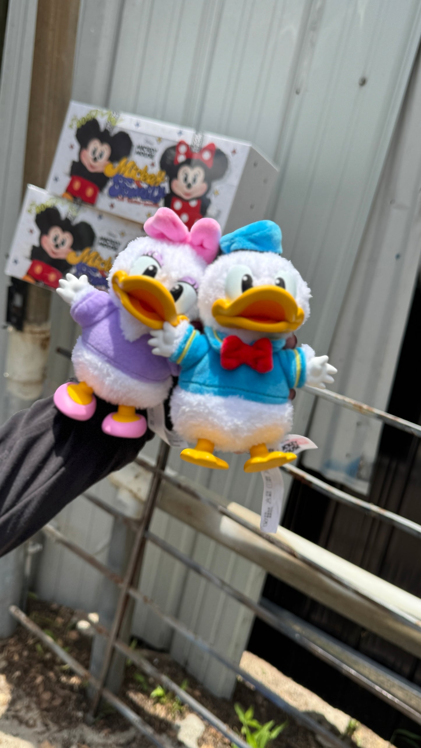 Mickey Family